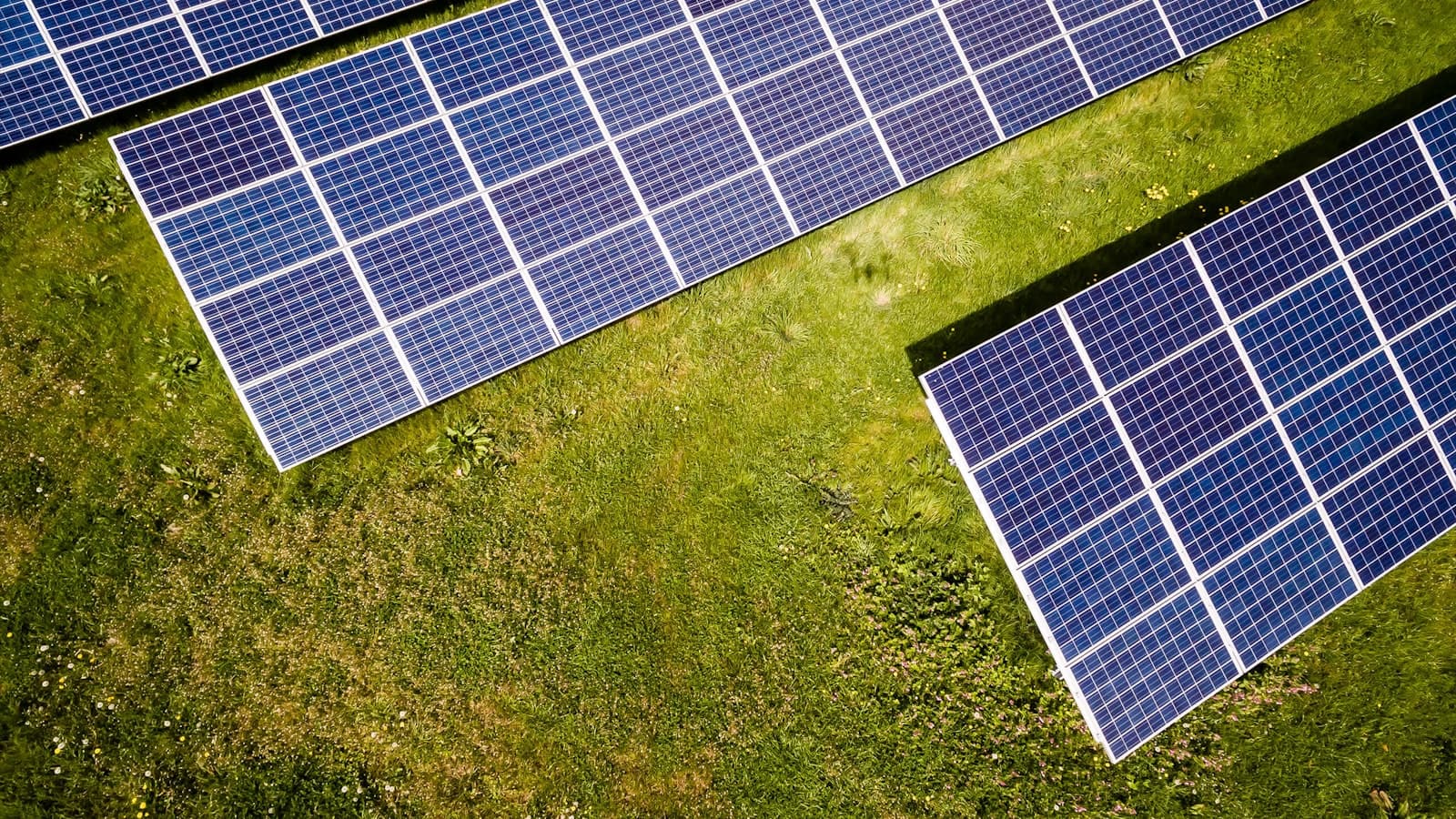 Rows of solar panels generating clean electricity