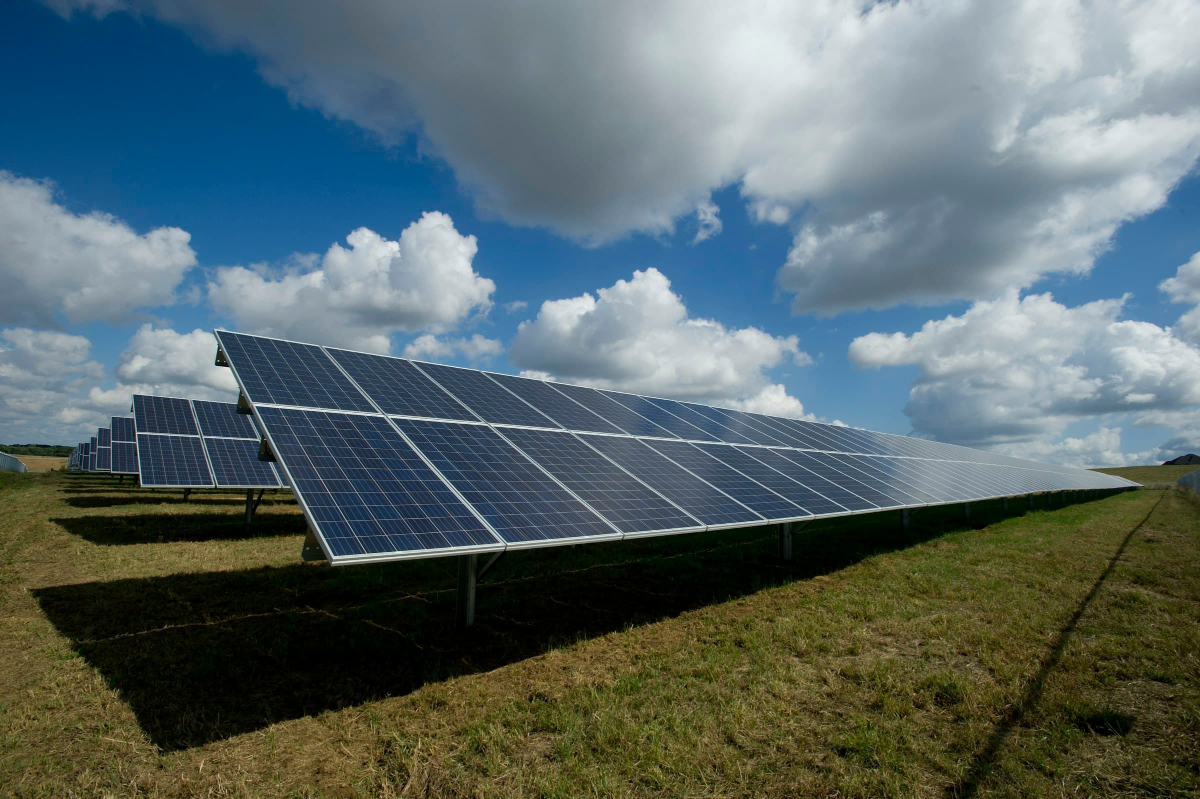 Solar panel array under clear sky